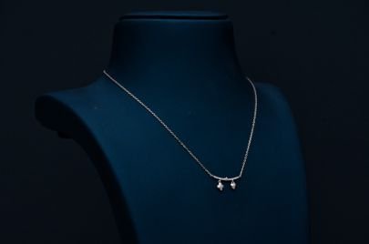 Divine Jewellery Dual Charm Bar Pendant Necklace